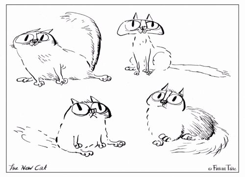 352872227_new-cat-colouring-4.jpg