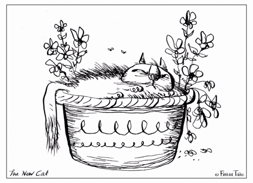 1657826088_new-cat-colouring-3.jpg