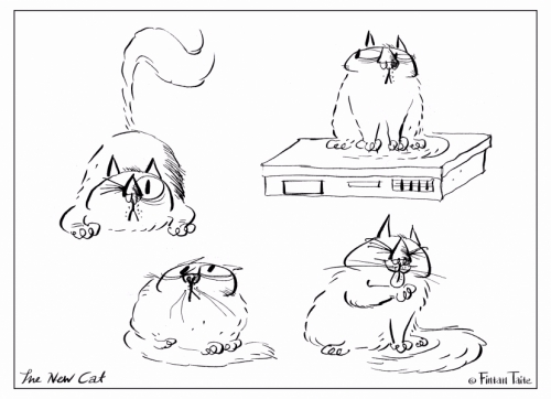 1446317785_new-cat-colouring-1.jpg